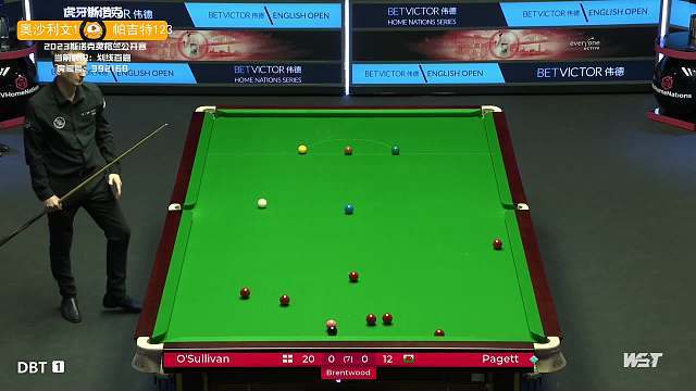 球迷的球员 球迷的球员